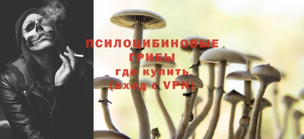 бошки Козловка