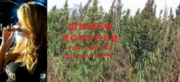 бошки Козловка