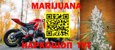 шишки Балашиха