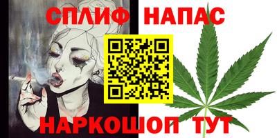 крисы Ливны