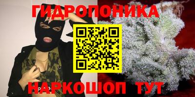 амф Лесосибирск