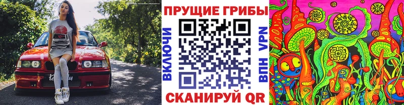 Галлюциногенные грибы MAGIC MUSHROOMS  Краснокамск 