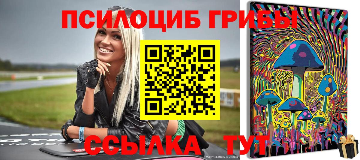 Краснокамск  Псилоцибиновые грибы GOLDEN TEACHER  Вход с VPN 