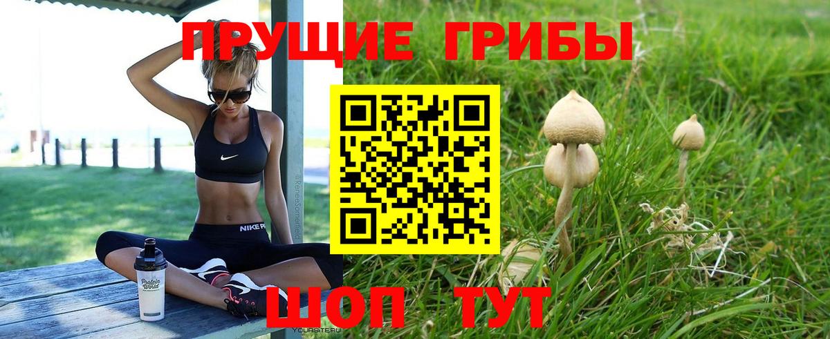 Псилоцибиновые грибы мухоморы  Псилоцибиновые грибы Cubensis  где купить наркоту  Краснокамск 