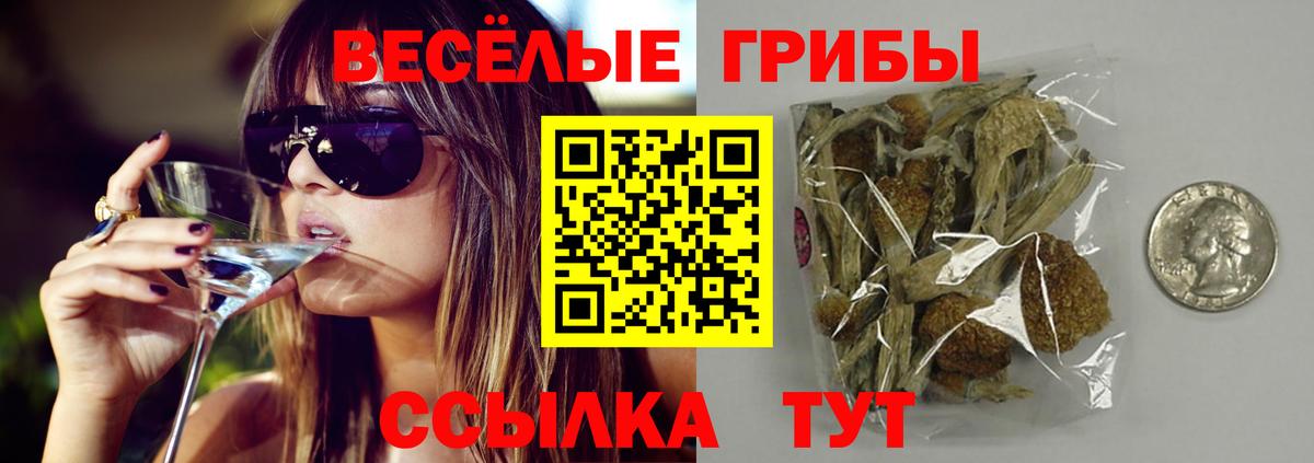 Псилоцибиновые грибы Psilocybe Краснокамск